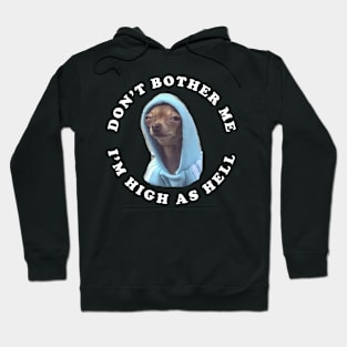 Don't bother me, I'm high as hell Hoodie